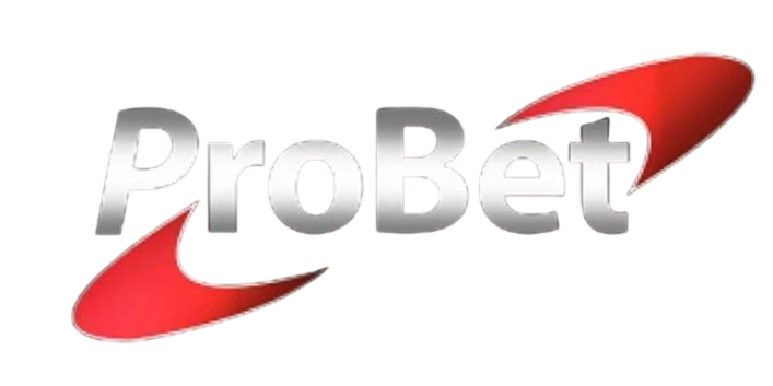 Lottery Partner